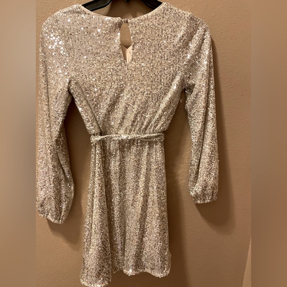 Gold/Silver Sequin Dress - Picture 2 of 2